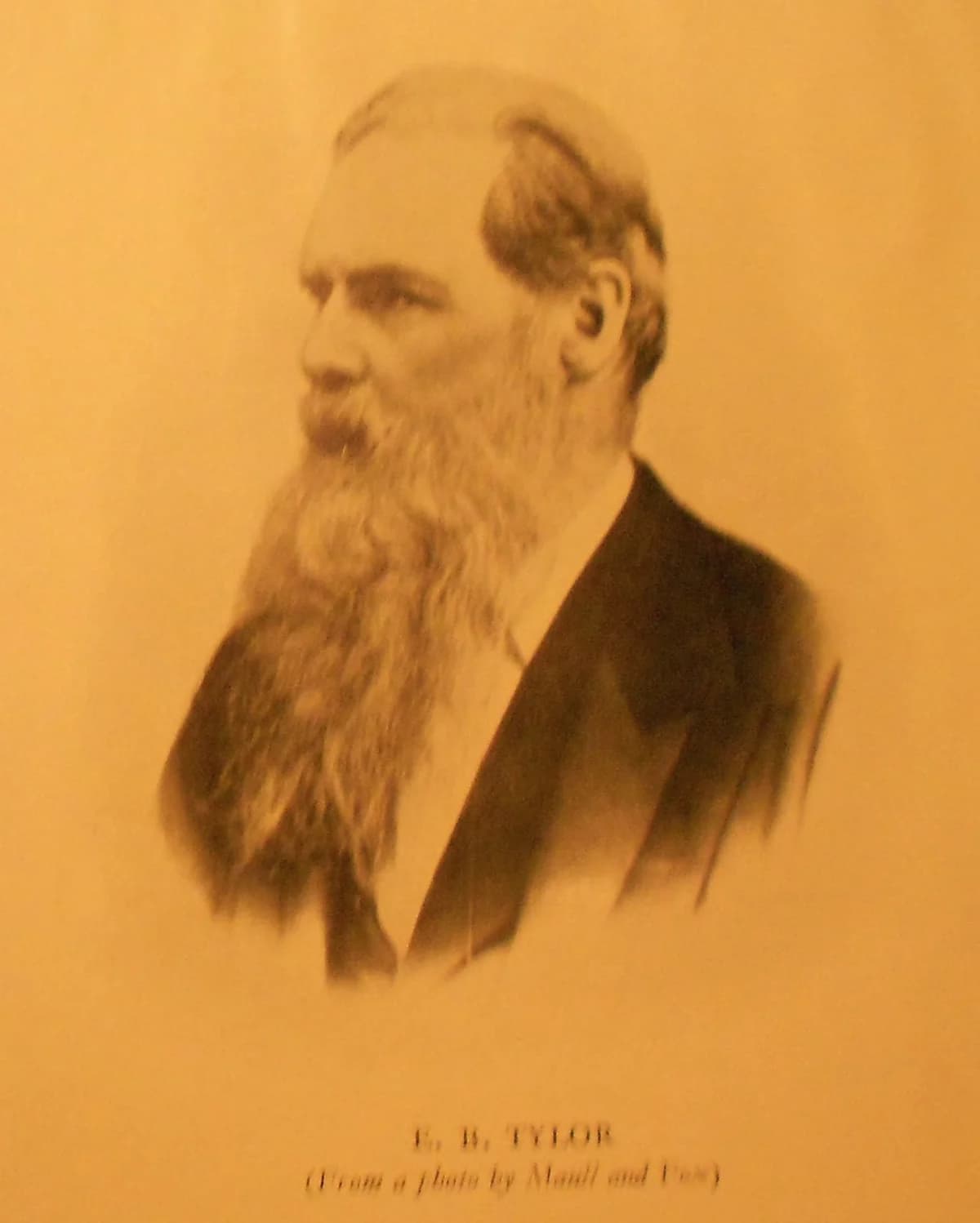 থিওরি: টাইলর ও তার তত্ত্ব